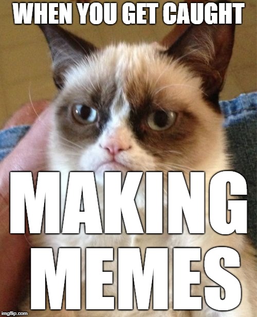 Grumpy Cat Meme | WHEN YOU GET CAUGHT; MAKING MEMES | image tagged in memes,grumpy cat | made w/ Imgflip meme maker