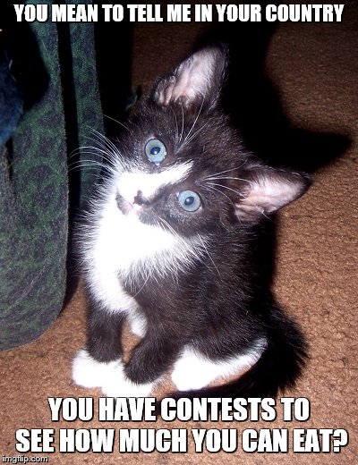 YOU MEAN TO TELL ME IN YOUR COUNTRY YOU HAVE CONTESTS TO SEE HOW MUCH YOU CAN EAT? | image tagged in confused cat | made w/ Imgflip meme maker