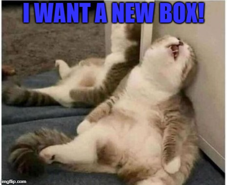 I WANT A NEW BOX! | made w/ Imgflip meme maker