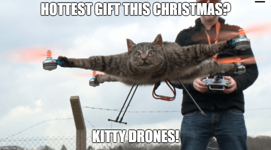 Kitty Drone | HOTTEST GIFT THIS CHRISTMAS? KITTY DRONES! | image tagged in cat,kitty,drone | made w/ Imgflip meme maker