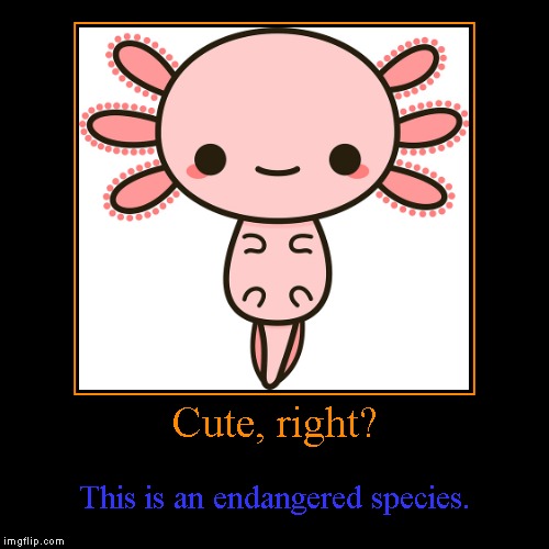 image tagged in funny,demotivationals | made w/ Imgflip demotivational maker