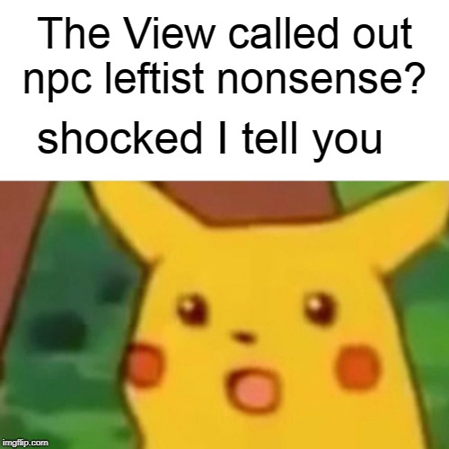 Surprised Pikachu Meme | The View called out npc leftist nonsense? shocked I tell you | image tagged in memes,surprised pikachu | made w/ Imgflip meme maker