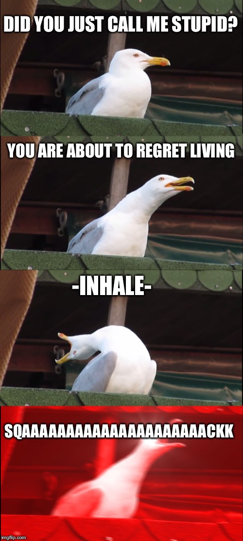 Inhaling Seagull Meme | DID YOU JUST CALL ME STUPID? YOU ARE ABOUT TO REGRET LIVING; -INHALE-; SQAAAAAAAAAAAAAAAAAAAAACKK | image tagged in memes,inhaling seagull | made w/ Imgflip meme maker