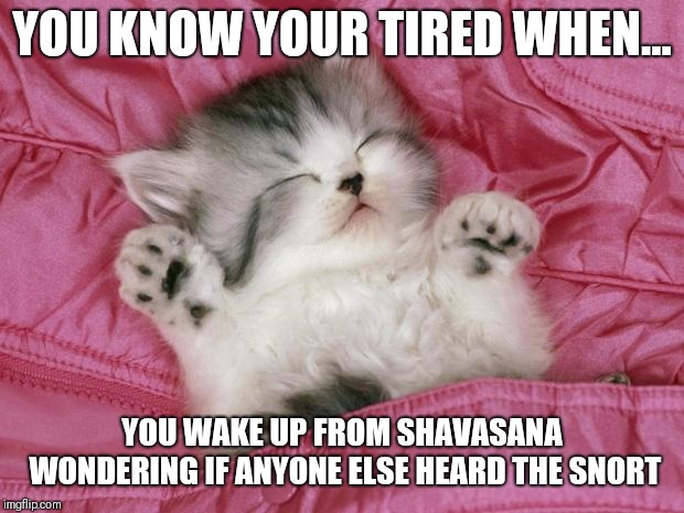 kitten sleeping | YOU KNOW YOUR TIRED WHEN... YOU WAKE UP FROM SHAVASANA WONDERING IF ANYONE ELSE HEARD THE SNORT | image tagged in kitten sleeping | made w/ Imgflip meme maker