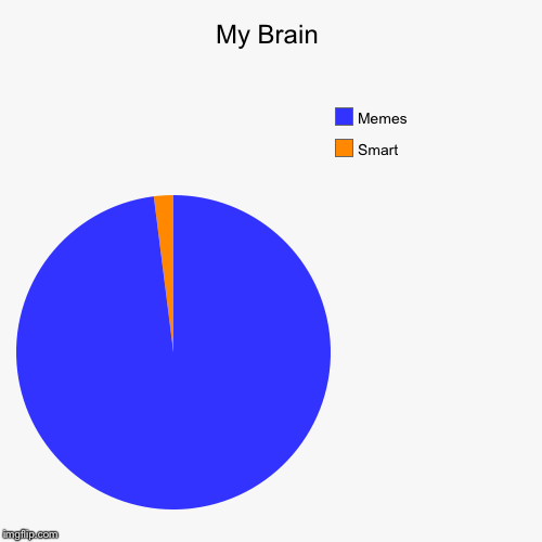 My Brain | Smart, Memes | image tagged in funny,pie charts | made w/ Imgflip chart maker