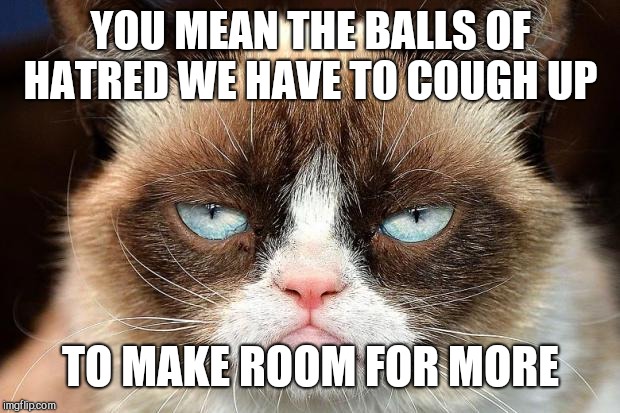 Grumpy Cat Not Amused Meme | YOU MEAN THE BALLS OF HATRED WE HAVE TO COUGH UP TO MAKE ROOM FOR MORE | image tagged in memes,grumpy cat not amused,grumpy cat | made w/ Imgflip meme maker