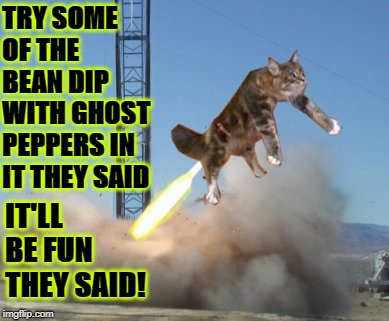 TRY SOME OF THE BEAN DIP WITH GHOST PEPPERS IN IT THEY SAID; IT'LL BE FUN THEY SAID! | image tagged in it'll be fun | made w/ Imgflip meme maker