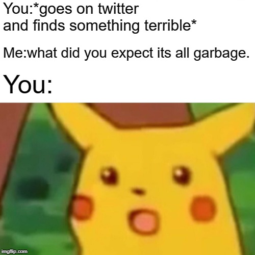 Surprised Pikachu Meme | You:*goes on twitter and finds something terrible* Me:what did you expect its all garbage. You: | image tagged in memes,surprised pikachu | made w/ Imgflip meme maker