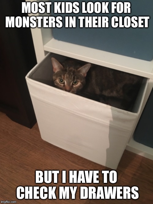 lil monster | MOST KIDS LOOK FOR MONSTERS IN THEIR CLOSET; BUT I HAVE TO CHECK MY DRAWERS | image tagged in cats,cat,tabby cat,tabby,draws,monsters | made w/ Imgflip meme maker