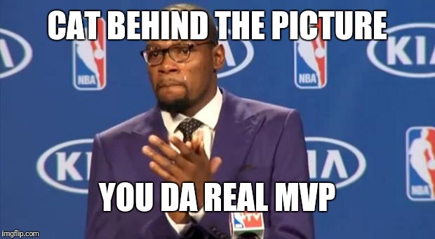 You The Real MVP Meme | CAT BEHIND THE PICTURE YOU DA REAL MVP | image tagged in memes,you the real mvp | made w/ Imgflip meme maker