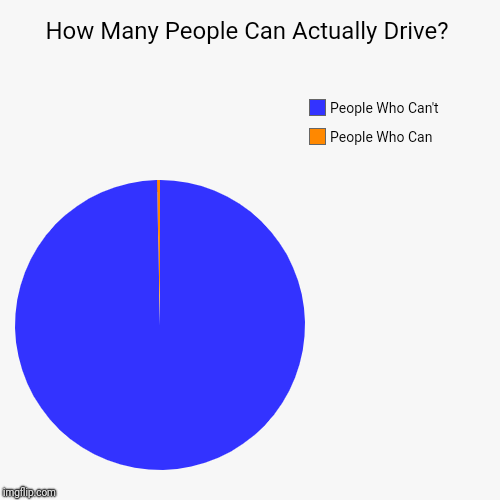 How Many People Can Actually Drive? | People Who Can, People Who Can't | image tagged in funny,pie charts | made w/ Imgflip chart maker