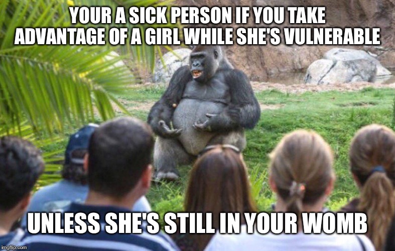 Gorilla lecture | YOUR A SICK PERSON IF YOU TAKE ADVANTAGE OF A GIRL WHILE SHE'S VULNERABLE; UNLESS SHE'S STILL IN YOUR WOMB | image tagged in gorilla lecture | made w/ Imgflip meme maker