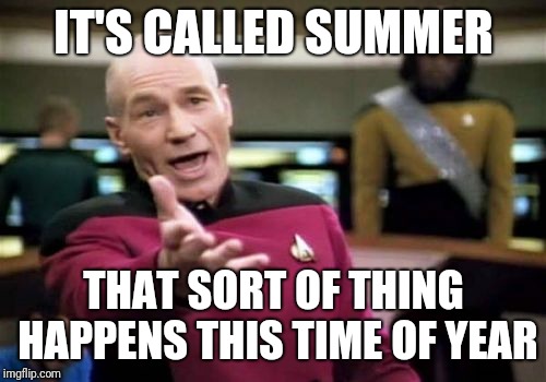 Picard Wtf Meme | IT'S CALLED SUMMER THAT SORT OF THING HAPPENS THIS TIME OF YEAR | image tagged in memes,picard wtf | made w/ Imgflip meme maker