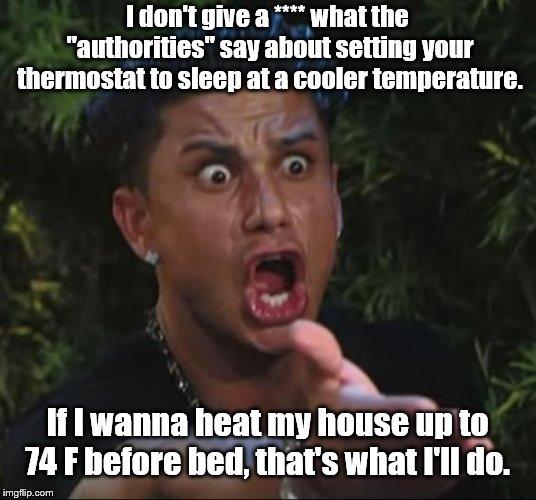 Dream on... | I don't give a **** what the "authorities" say about setting your thermostat to sleep at a cooler temperature. If I wanna heat my house up to 74 F before bed, that's what I'll do. | image tagged in memes,dj pauly d | made w/ Imgflip meme maker