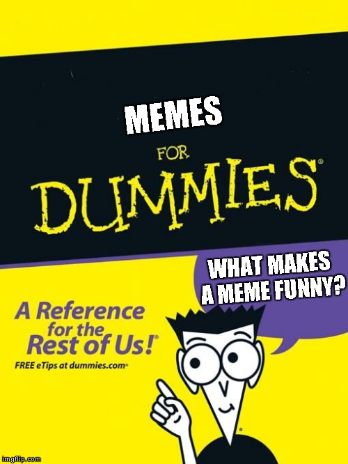 For dummies book | MEMES; WHAT MAKES A MEME FUNNY? | image tagged in for dummies book | made w/ Imgflip meme maker