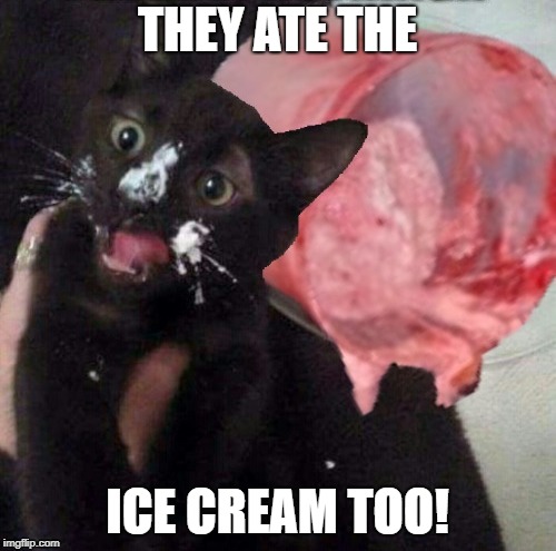 THEY ATE THE ICE CREAM TOO! | made w/ Imgflip meme maker