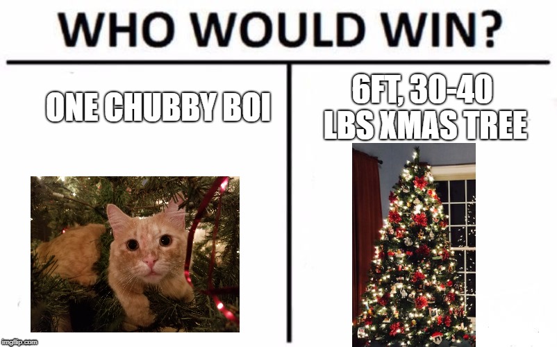 Who Would Win? | ONE CHUBBY BOI; 6FT, 30-40 LBS XMAS TREE | image tagged in memes,who would win | made w/ Imgflip meme maker