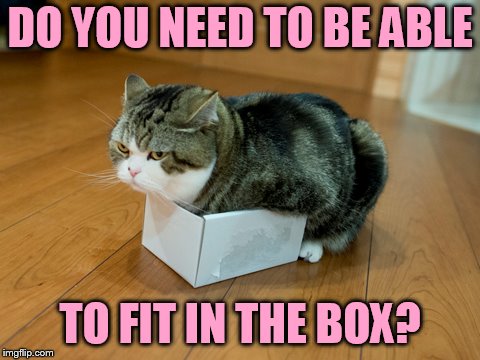 DO YOU NEED TO BE ABLE TO FIT IN THE BOX? | made w/ Imgflip meme maker