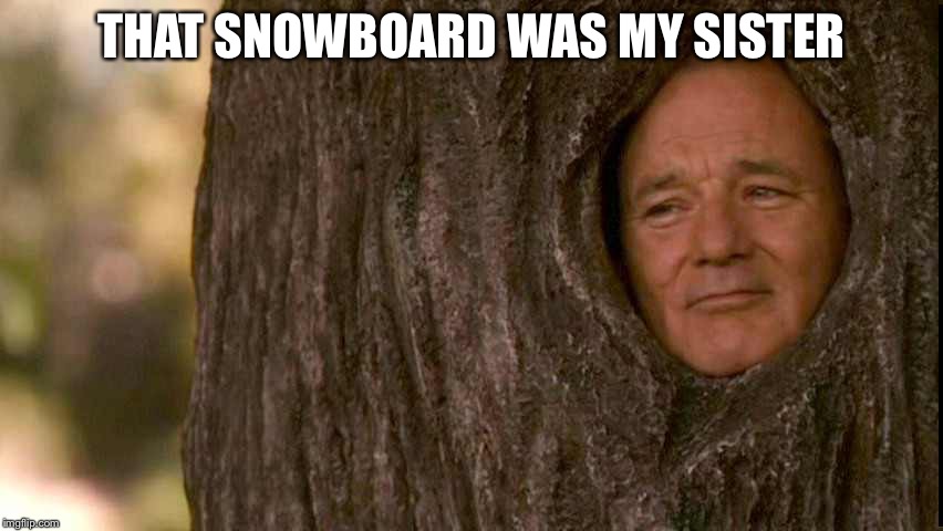 Tree face | THAT SNOWBOARD WAS MY SISTER | image tagged in tree face | made w/ Imgflip meme maker