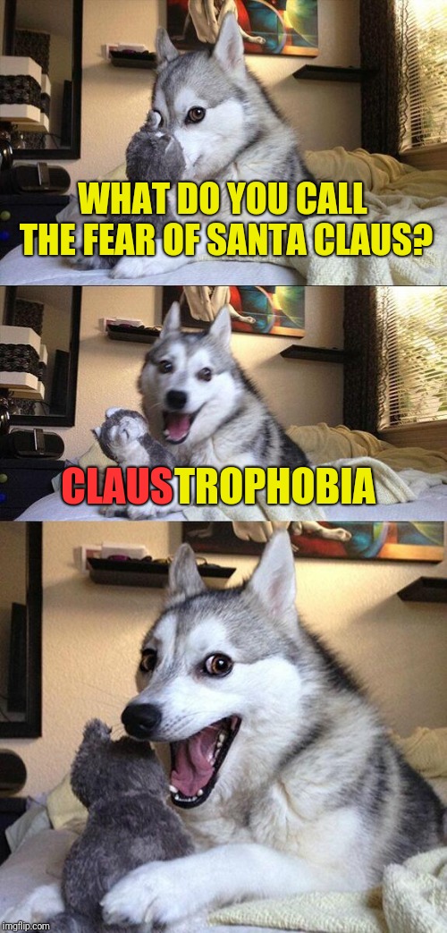 Bad Pun Dog Meme | WHAT DO YOU CALL THE FEAR OF SANTA CLAUS? TROPHOBIA; CLAUS | image tagged in memes,bad pun dog | made w/ Imgflip meme maker
