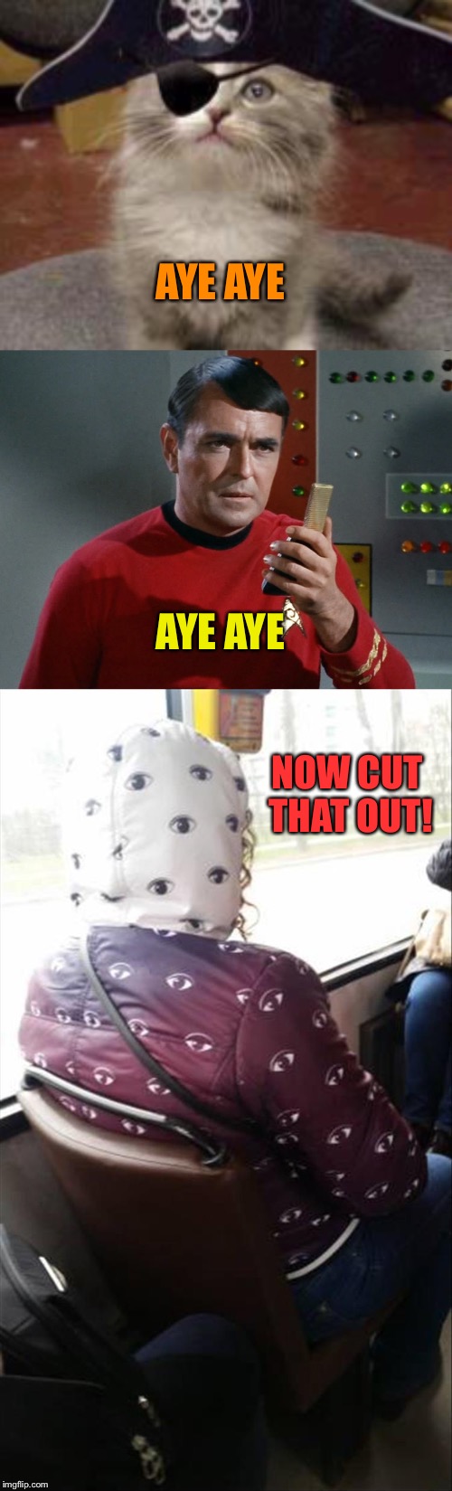 Everyone's a comedian. | AYE AYE; AYE AYE; NOW CUT THAT OUT! | image tagged in scotty star trek,memes,funny,eyes | made w/ Imgflip meme maker