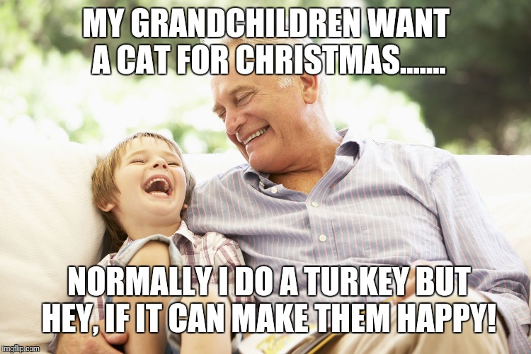 Grandfather and Grandson | MY GRANDCHILDREN WANT A CAT FOR CHRISTMAS....... NORMALLY I DO A TURKEY BUT HEY, IF IT CAN MAKE THEM HAPPY! | image tagged in grandfather and grandson | made w/ Imgflip meme maker