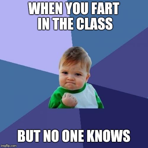 Success Kid | WHEN YOU FART IN THE CLASS; BUT NO ONE KNOWS | image tagged in memes,success kid | made w/ Imgflip meme maker