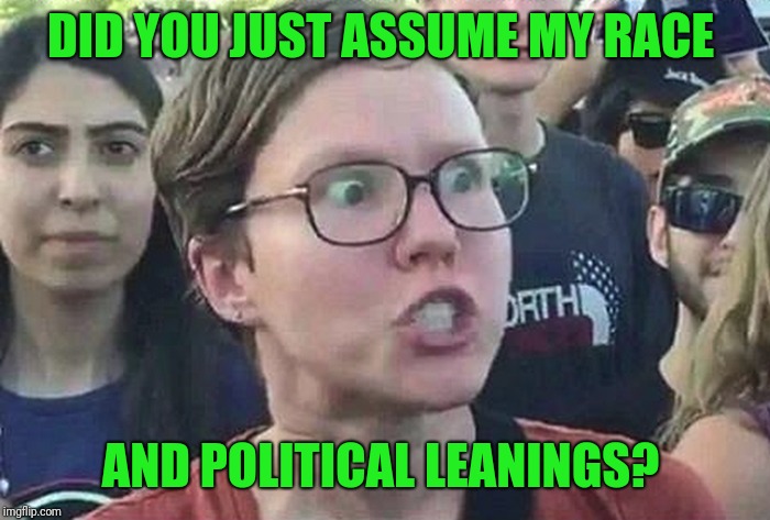 Triggered Liberal | DID YOU JUST ASSUME MY RACE AND POLITICAL LEANINGS? | image tagged in triggered liberal | made w/ Imgflip meme maker