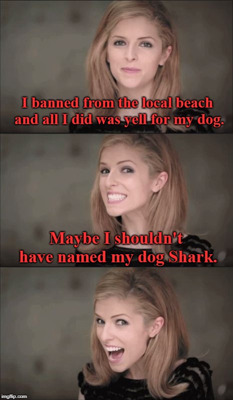 Bad Pun Anna Kendrick Meme | I banned from the local beach and all I did was yell for my dog. Maybe I shouldn't have named my dog Shark. | image tagged in memes,bad pun anna kendrick | made w/ Imgflip meme maker