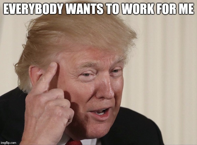 Trump think | EVERYBODY WANTS TO WORK FOR ME | image tagged in trump think | made w/ Imgflip meme maker