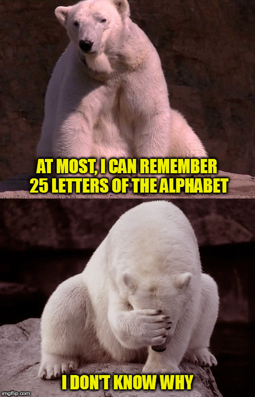 Maybe it's because you're a polar bear? | AT MOST, I CAN REMEMBER 25 LETTERS OF THE ALPHABET; I DON'T KNOW WHY | image tagged in bad joke polar bear,memes | made w/ Imgflip meme maker