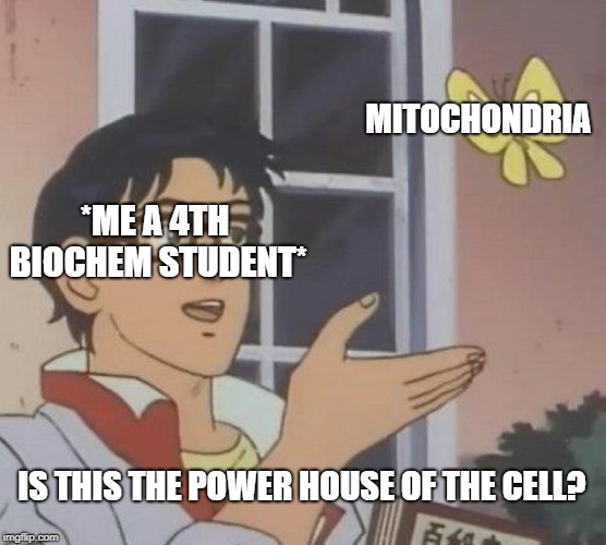 Is This A Pigeon Meme | MITOCHONDRIA; *ME A 4TH BIOCHEM STUDENT*; IS THIS THE POWER HOUSE OF THE CELL? | image tagged in memes,is this a pigeon | made w/ Imgflip meme maker