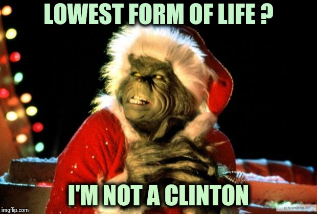 Fighting childish insults with childish insults | LOWEST FORM OF LIFE ? I'M NOT A CLINTON | image tagged in the grinch,bubba,hillaryclinton,politicians suck,stealing,everything | made w/ Imgflip meme maker