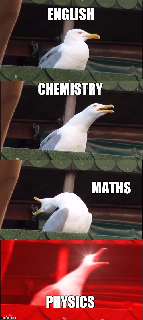 Inhaling Seagull | ENGLISH; CHEMISTRY; MATHS; PHYSICS | image tagged in memes,inhaling seagull | made w/ Imgflip meme maker