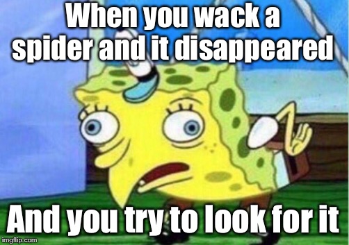 Mocking Spongebob | When you wack a spider and it disappeared; And you try to look for it | image tagged in memes,mocking spongebob | made w/ Imgflip meme maker