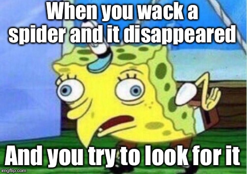 Mocking Spongebob Meme | When you wack a spider and it disappeared; And you try to look for it | image tagged in memes,mocking spongebob | made w/ Imgflip meme maker