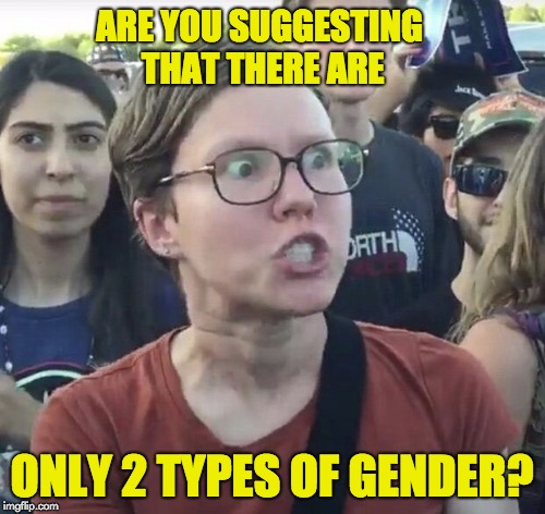Triggered feminist | ARE YOU SUGGESTING THAT THERE ARE; ONLY 2 TYPES OF GENDER? | image tagged in triggered feminist | made w/ Imgflip meme maker