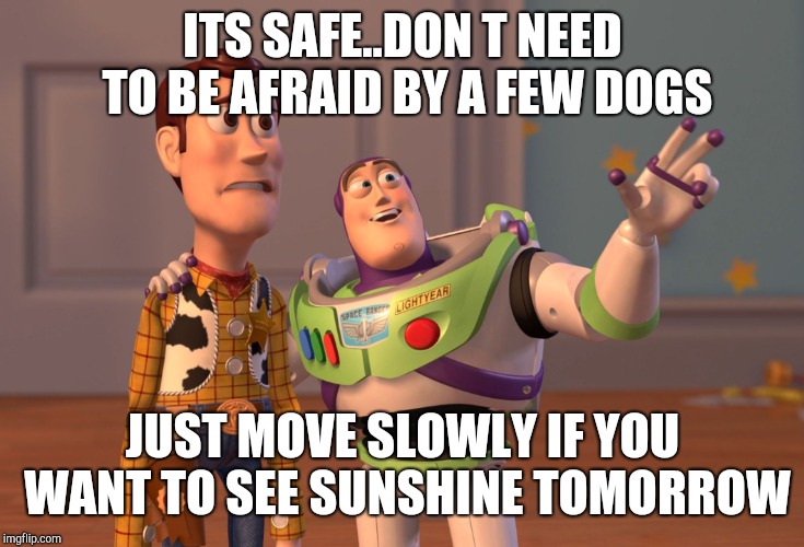 X, X Everywhere | ITS SAFE..DON T NEED TO BE AFRAID BY A FEW DOGS; JUST MOVE SLOWLY IF YOU WANT TO SEE SUNSHINE TOMORROW | image tagged in memes,x x everywhere | made w/ Imgflip meme maker