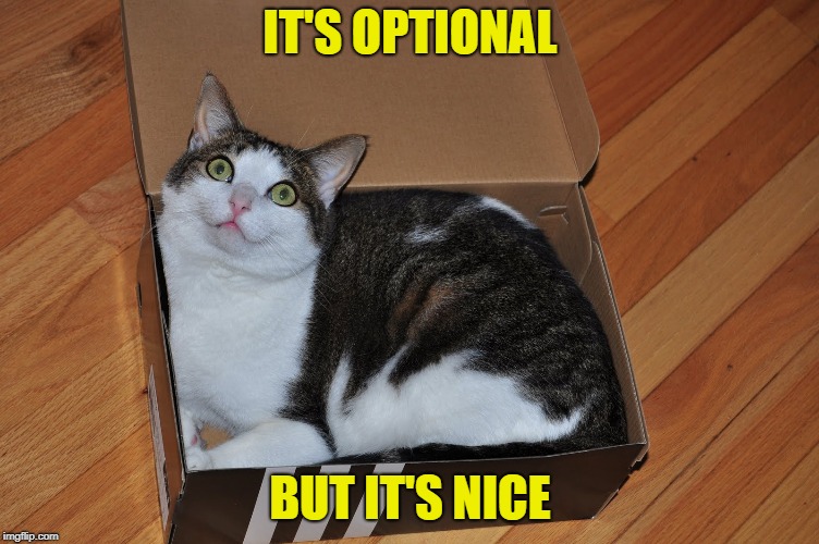 IT'S OPTIONAL BUT IT'S NICE | made w/ Imgflip meme maker