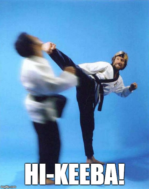 Roundhouse Kick Chuck Norris | HI-KEEBA! | image tagged in roundhouse kick chuck norris,mst3k,hi-keeba | made w/ Imgflip meme maker