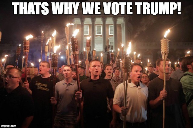 Virginia Nazi's | THATS WHY WE VOTE TRUMP! | image tagged in virginia nazi's | made w/ Imgflip meme maker