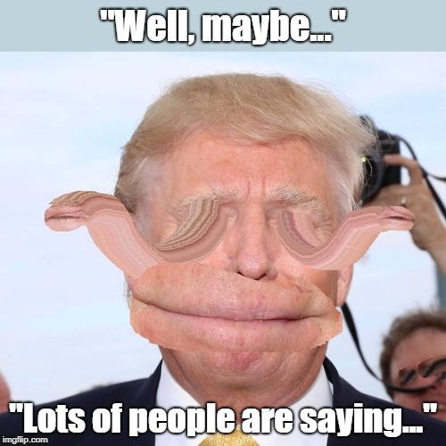 "Well, maybe..." "Lots of people are saying..." | made w/ Imgflip meme maker