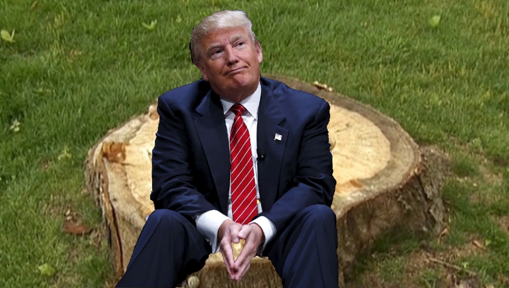 High Quality Trump on a stump Blank Meme Template