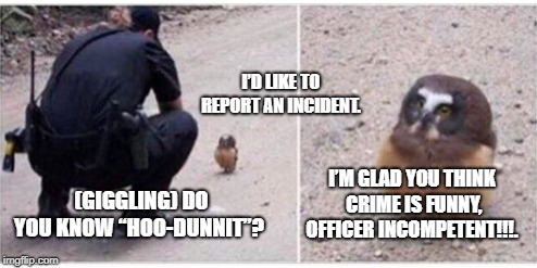 I’D LIKE TO REPORT AN INCIDENT. I’M GLAD YOU THINK CRIME IS FUNNY, OFFICER INCOMPETENT!!!. (GIGGLING) DO YOU KNOW “HOO-DUNNIT”? | image tagged in owl | made w/ Imgflip meme maker