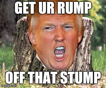 GET UR RUMP OFF THAT STUMP | made w/ Imgflip meme maker