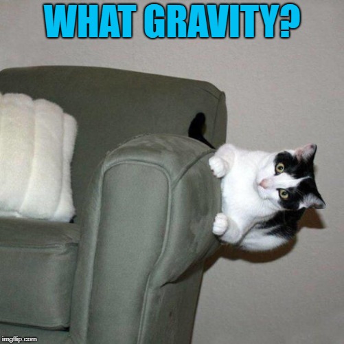 WHAT GRAVITY? | made w/ Imgflip meme maker