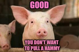 GOOD YOU DON'T WANT TO PULL A HAMMY | made w/ Imgflip meme maker