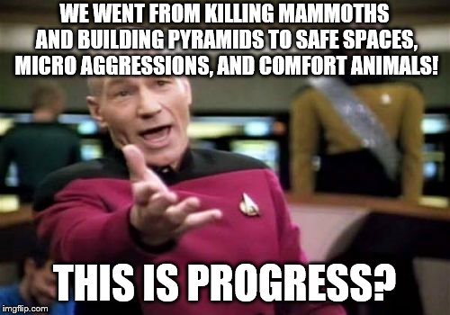 Picard Wtf | WE WENT FROM KILLING MAMMOTHS AND BUILDING PYRAMIDS TO SAFE SPACES, MICRO AGGRESSIONS, AND COMFORT ANIMALS! THIS IS PROGRESS? | image tagged in memes,picard wtf | made w/ Imgflip meme maker