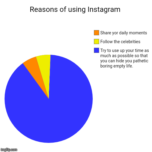 Reasons of using Instagram | Try to use up your time as much as possible so that you can hide you pathetic boring empty life., Follow the ce | image tagged in funny,pie charts | made w/ Imgflip chart maker