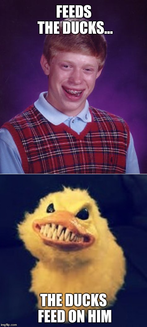 Classic Brian | FEEDS THE DUCKS... THE DUCKS FEED ON HIM | image tagged in memes,bad luck brian,evil,ducks,dark humor | made w/ Imgflip meme maker